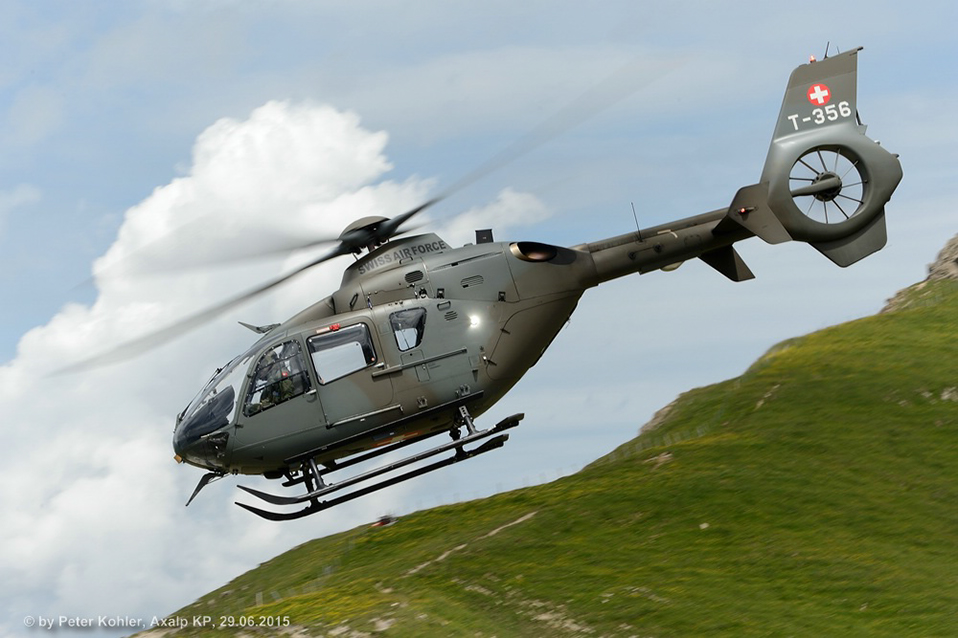 comp_150629_Axalp_Bergfrühling 334-