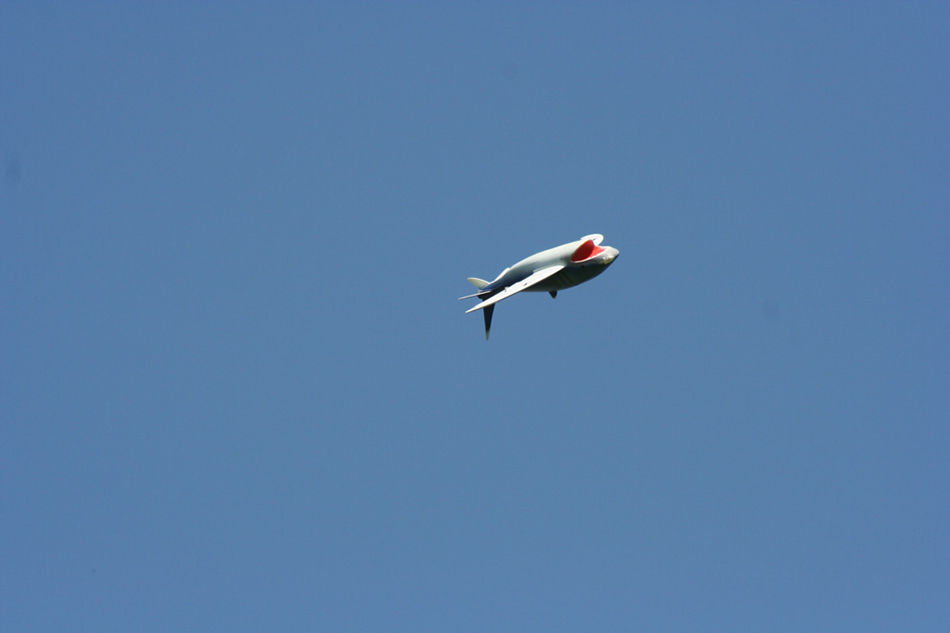 %_tempFileNameIMG_9118%